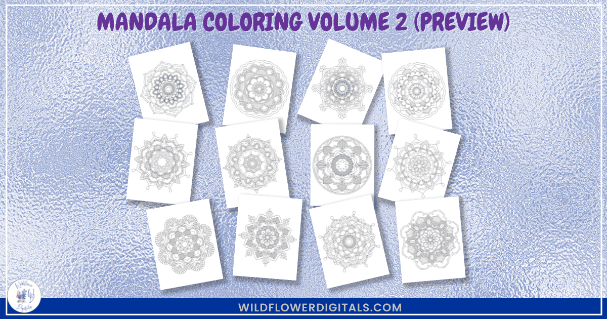 preview mockup of mandala coloring pages book volume 2