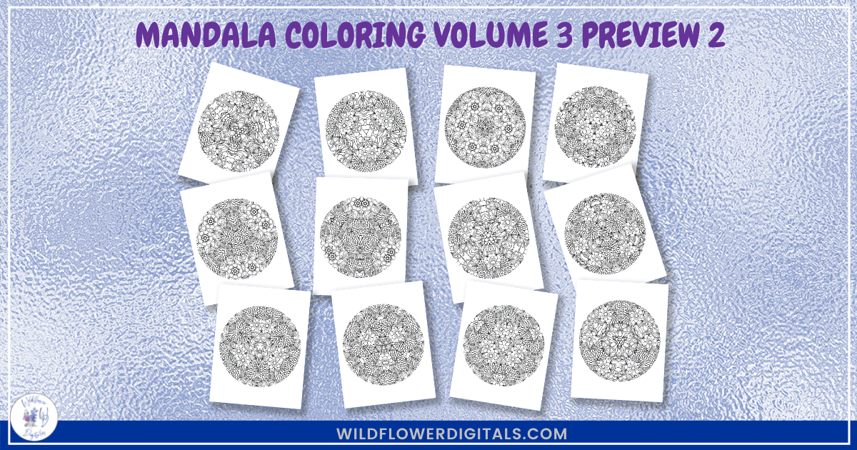 preview mockup of mandala coloring pages book volume 3