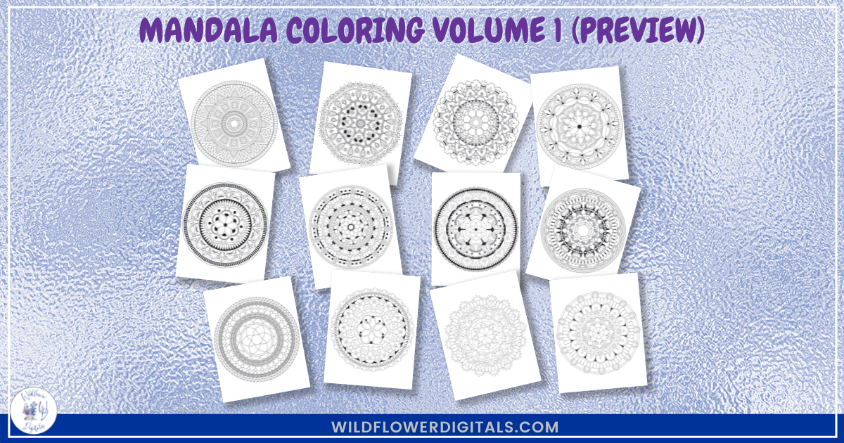 preview mockup of mandala coloring pages book volume 1