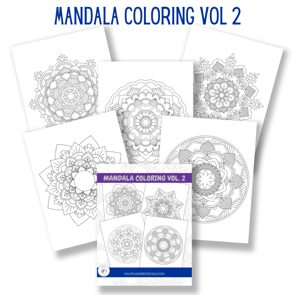 mockup of mandala coloring pages book volume 2