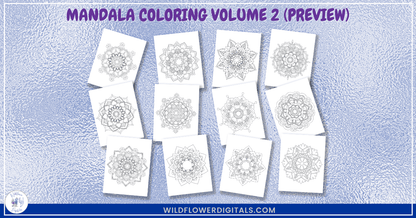 preview mockup of mandala coloring pages book volume 2