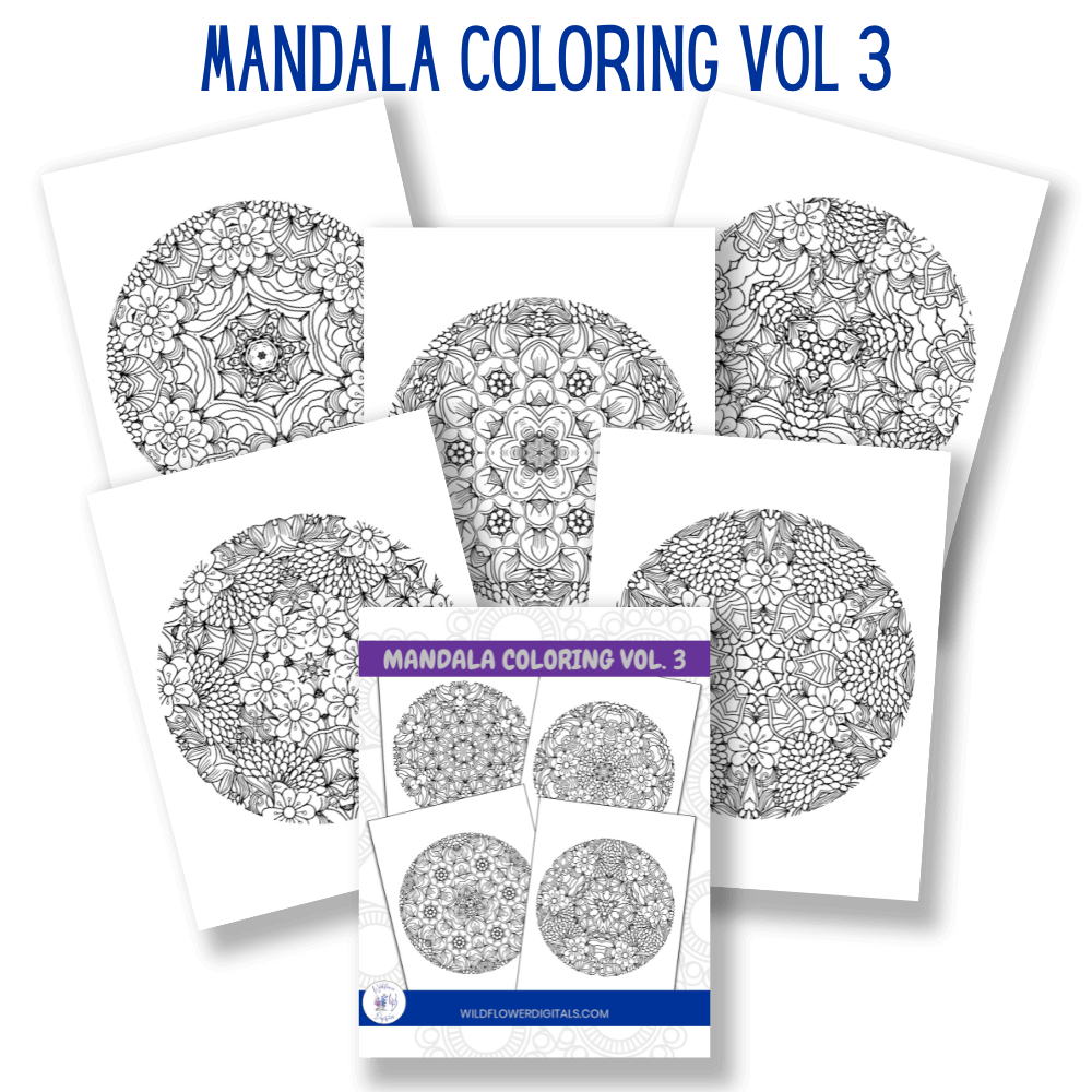 mockup of mandala coloring pages book volume 3