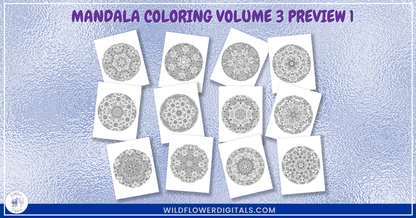 preview mockup of mandala coloring pages book volume 3